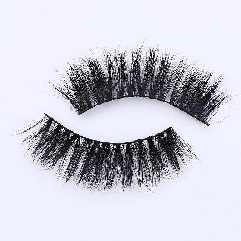b1071ec1e240d6f897a262a15a8f1c42